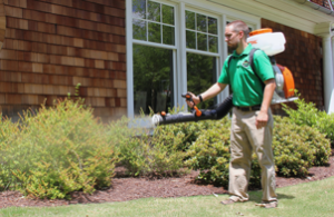 Mosquito Joe of Surprise Technician Spraying Barrier Treatment on shrubbery