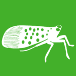 white vector image of a spotted lanternfly on a green background